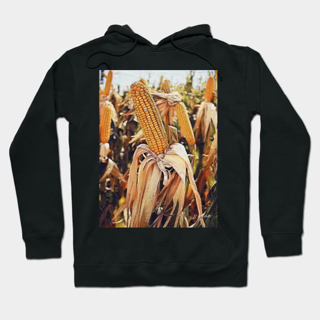 Harvest Season Hoodie by Unique Gifts 24/7